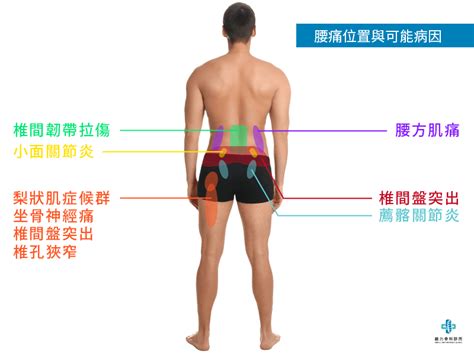 腰窩面相|腰窩